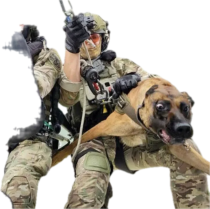 Handler holding a Belgian Malinois in a harness during a helicopter hoist